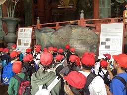 IMG_0231.jpg