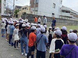 IMG_0382.jpg