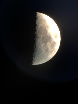 IMG_0394.jpg