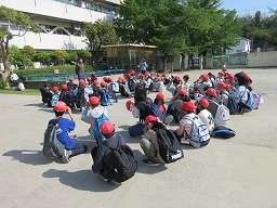 IMG_0460.jpg