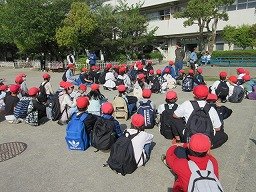 IMG_0461.jpg