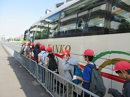 IMG_0462.jpg