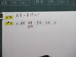 IMG_0493.jpg