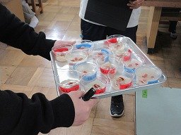 IMG_0497.jpg