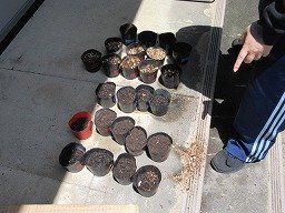 IMG_0504.jpg