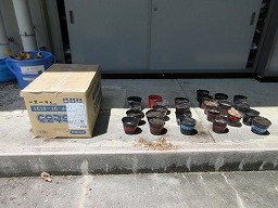 IMG_0506.jpg