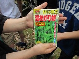 IMG_0722.jpg