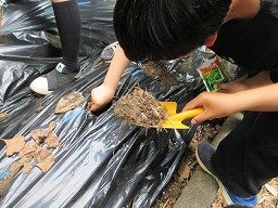 IMG_0724.jpg