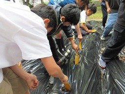IMG_0725.jpg