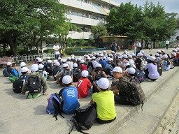 IMG_0726.jpg