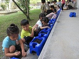 IMG_0752.jpg