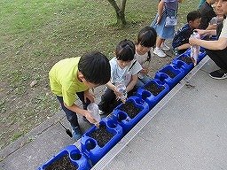 IMG_0761.jpg