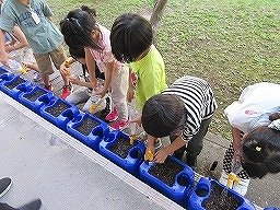IMG_0762.jpg