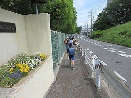 IMG_0763.jpg