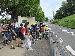 IMG_0767.jpg