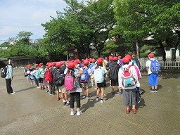 IMG_0769.jpg