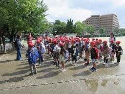 IMG_0770.jpg