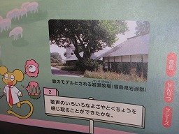 IMG_0778.jpg