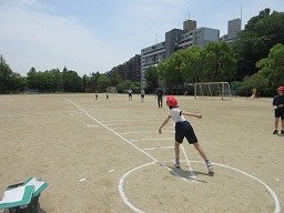 IMG_0833.jpg