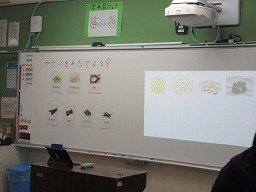 IMG_0853.jpg
