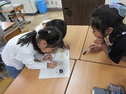 IMG_0855.jpg