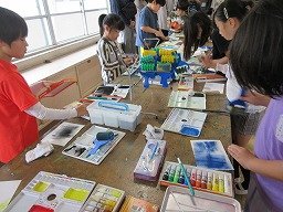 IMG_0868.jpg