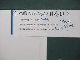 IMG_0931.jpg