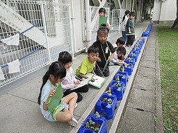 IMG_0955.jpg