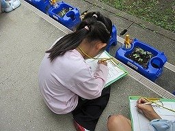 IMG_0957.jpg