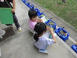 IMG_0958.jpg