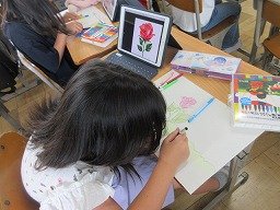 IMG_1052.jpg