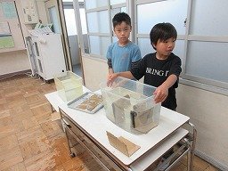 IMG_1060.jpg