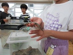 IMG_1069.jpg