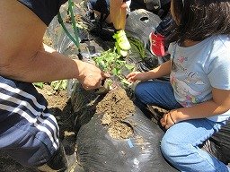 IMG_1142.jpg