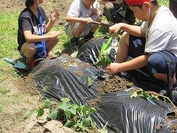 IMG_1143.jpg