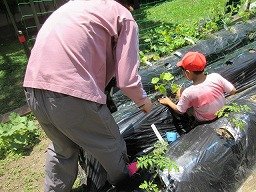 IMG_1146.jpg