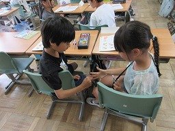 IMG_1194.jpg