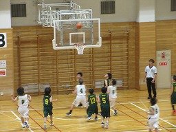 IMG_1231.jpg