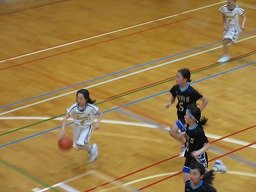 IMG_1241.jpg