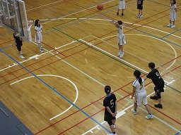 IMG_1247.jpg