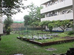 IMG_1282.jpg