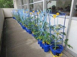 IMG_1310.jpg