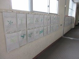 IMG_1312.jpg