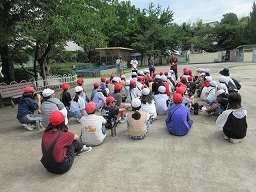 IMG_1334.jpg