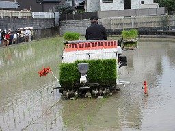 IMG_1336.jpg