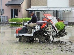 IMG_1340.jpg