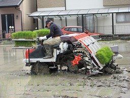 IMG_1341.jpg