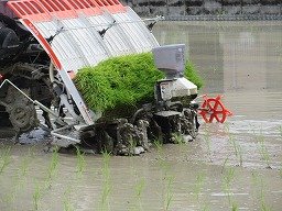 IMG_1342.jpg