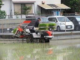 IMG_1344.jpg