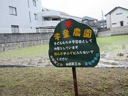 IMG_1348.jpg
